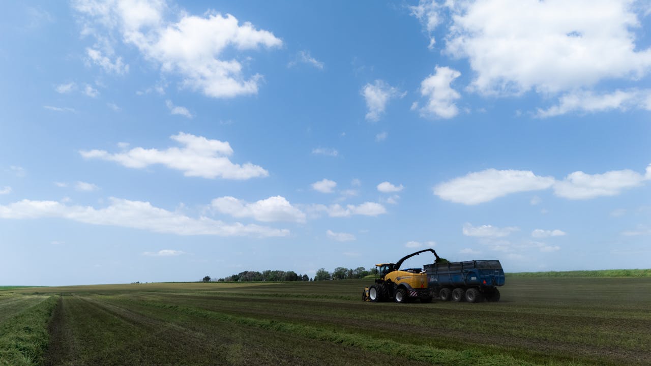 A tractor harvesting silage in a wide open field under a blue sky with clouds.