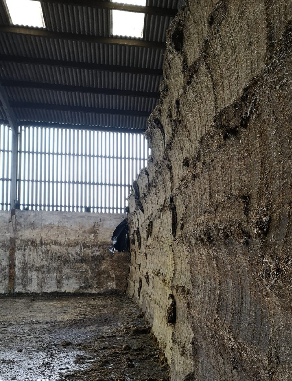 20210215 203044000 ios